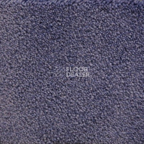 Ковролин Radici Lord Lavanda 246C фото 1 | FLOORDEALER